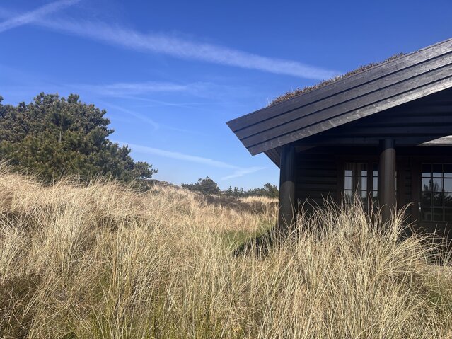 Ferienhaus 52141 in Bjørnedalen 12, Grærup Strand - Bild #1