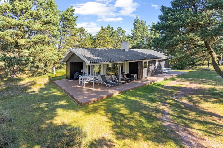 Sommerhus 60011 på Hedetoftvej 21, Blåvand - Billede #0