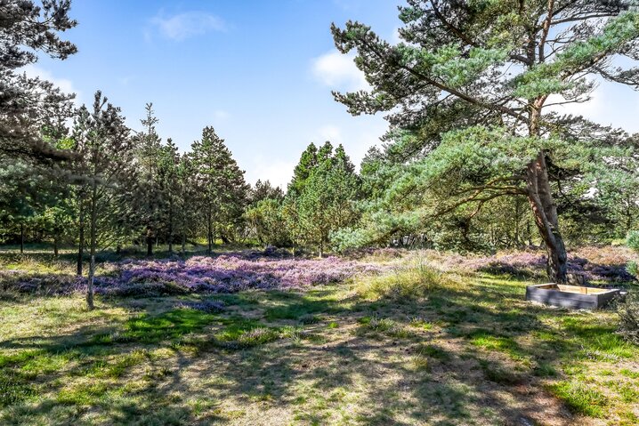 Ferienhaus 60040 in Hedetoftvej 2, Blåvand - Bild #30