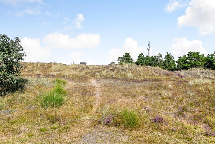 Sommerhus 60042 på Poul Thøstesensvej 16, Blåvand - Billede #57