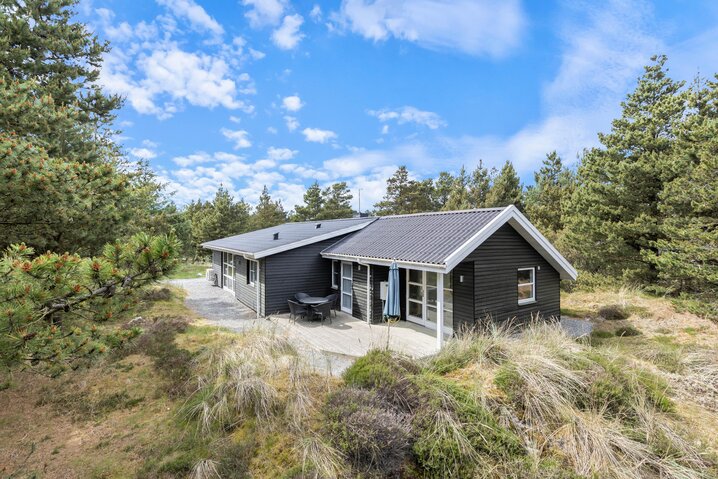 Holiday home 60059 at Horns Bjerge 28, Blåvand - Picture #0