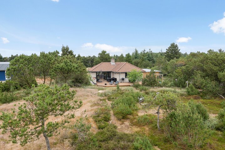 Ferienhaus 60083 in Gl Hovej 10, Blåvand - Bild #27