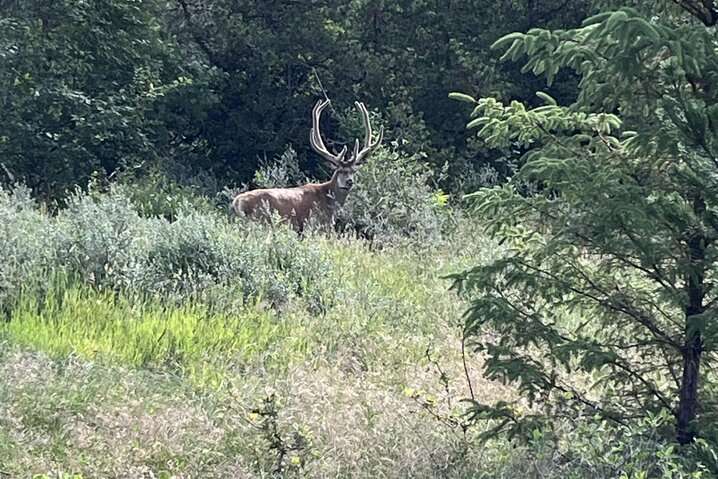 Ferienhaus 60120 in Søren Lassens Vænge 10, Blåvand - Bild #35
