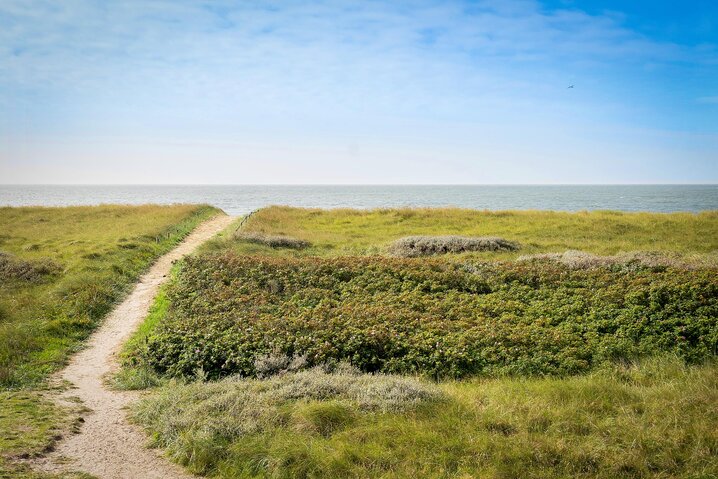 Ferienhaus 60143 in Strandparken 22, Blåvand - Bild #41