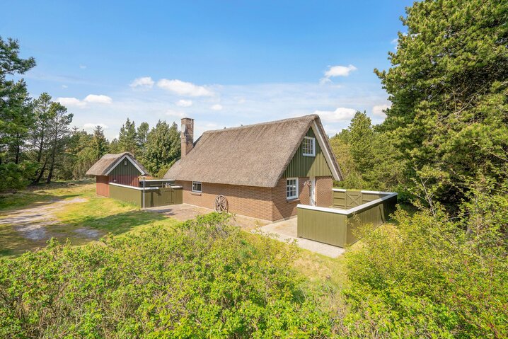 Ferienhaus 60170 in Sandtoftevej 57, Blåvand - Bild #25