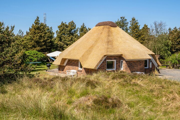 Ferienhaus 60174 in Kollemarken 46, Blåvand - Bild #38