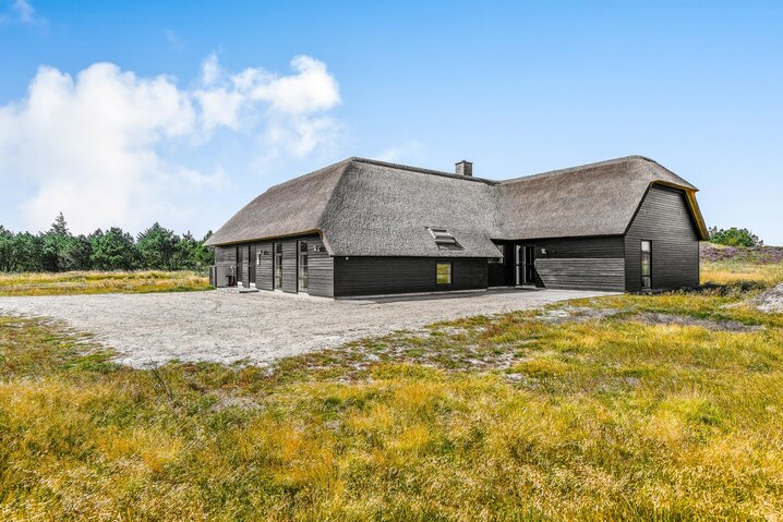 Ferienhaus 60179 in Vestslugen 8, Blåvand - Bild #42