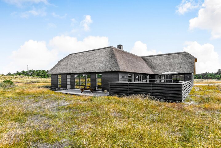 Ferienhaus 60179 in Vestslugen 8, Blåvand - Bild #45