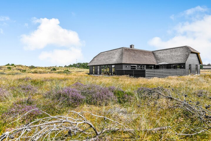 Ferienhaus 60179 in Vestslugen 8, Blåvand - Bild #45