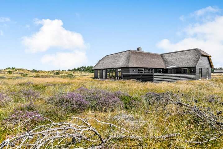 Ferienhaus 60179 in Vestslugen 8, Blåvand - Bild #46