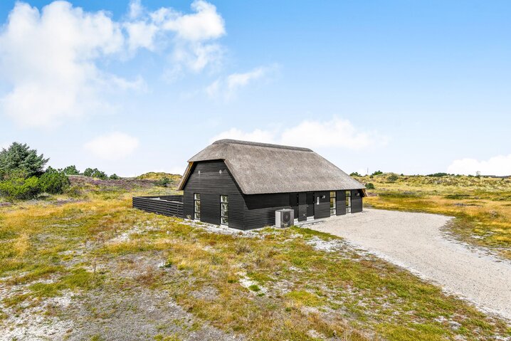 Ferienhaus 60179 in Vestslugen 8, Blåvand - Bild #48