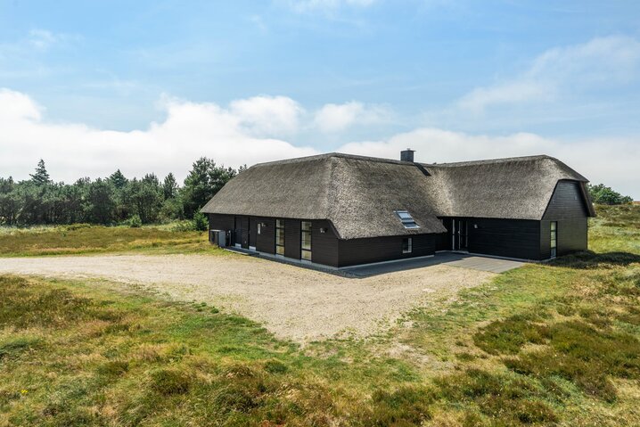 Holiday home 60179 at Vestslugen 8, Blåvand - Picture #47