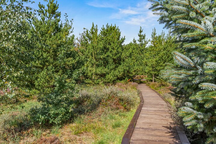 Ferienhaus 60185 in Per Knoldsvej 34, Blåvand - Bild #36