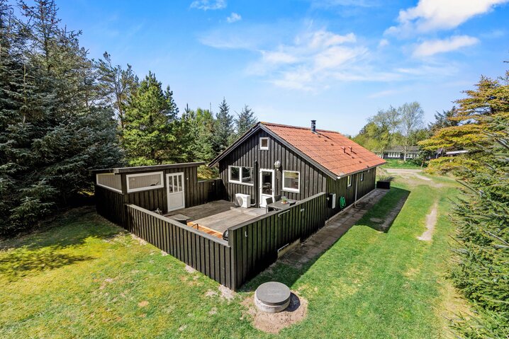 Ferienhaus 60196 in Gl Mælkevej 31, Blåvand - Bild #0