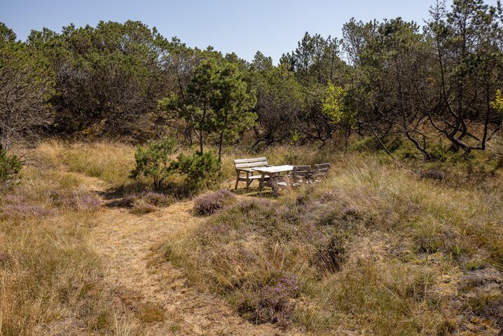 Sommerhus 60205 på Kallesmærskvej 16, Blåvand - Billede #29