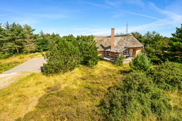 Sommerhus 60221 på Ingridsvej 32, Blåvand - Billede #41