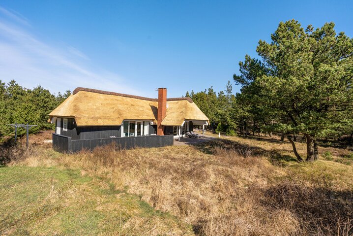 Sommerhus 60223 på Per Knoldsvej 42, Blåvand - Billede #27