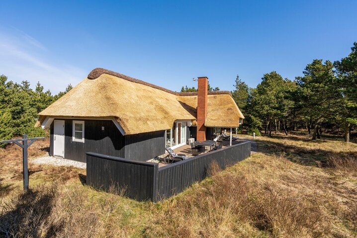 Sommerhus 60223 på Per Knoldsvej 42, Blåvand - Billede #28