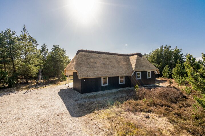 Sommerhus 60223 på Per Knoldsvej 42, Blåvand - Billede #45