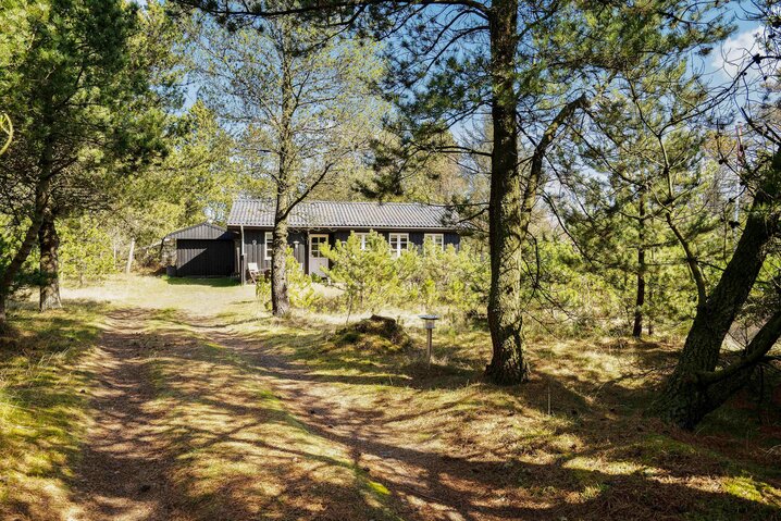 Ferienhaus 60230 in Lommen 9, Blåvand - Bild #24