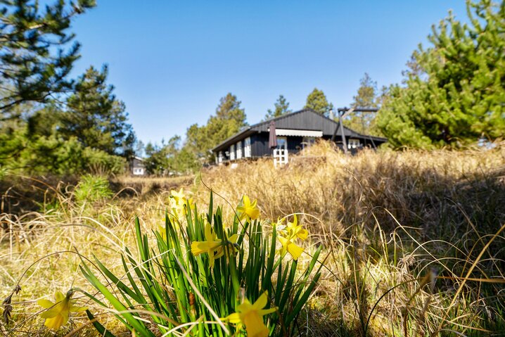 Ferienhaus 60230 in Lommen 9, Blåvand - Bild #34