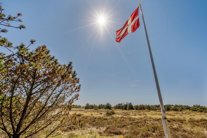 Sommerhus 60236 på Vestslugen 9, Blåvand - Billede #41