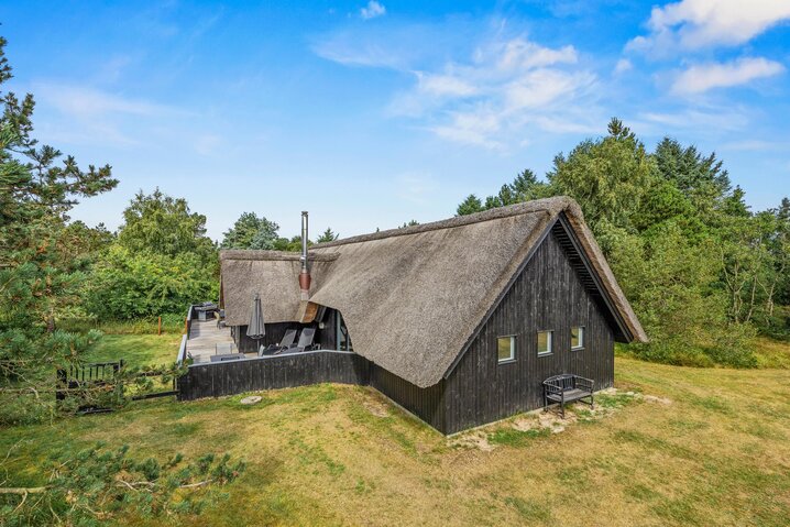 Sommerhus 60242 på Hedetoftvej 50, Blåvand - Billede #38