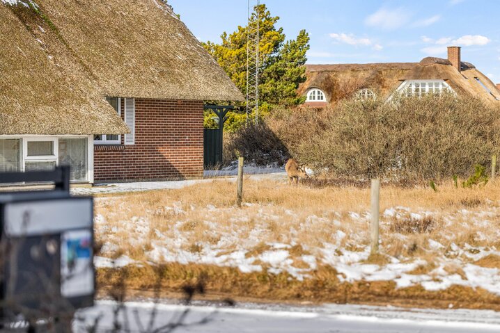 Sommerhus 60256 på Ingridsvej 1, Blåvand - Billede #55