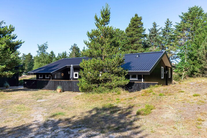 Ferienhaus 60259 in Sandtoftevej 58, Blåvand - Bild #38