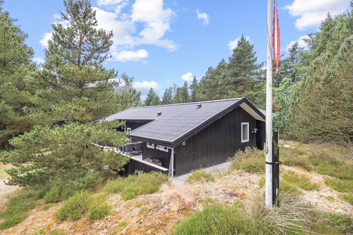 Ferienhaus 60259 in Sandtoftevej 58, Blåvand - Bild #32