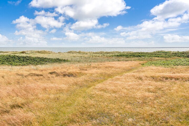 Sommerhus 60260 på Skippervej 1B, Blåvand - Billede #47