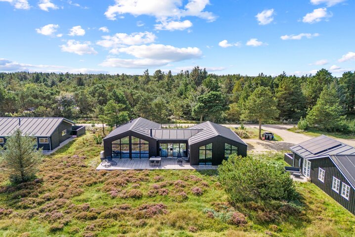 Ferienhaus 60267 in Horns Bjerge 60, Blåvand - Bild #50