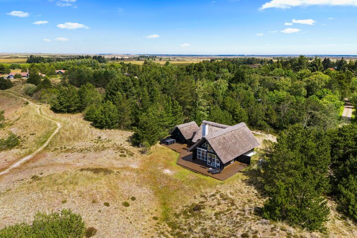 Ferienhaus 60270 in Bjergbovej 27, Blåvand - Bild #34