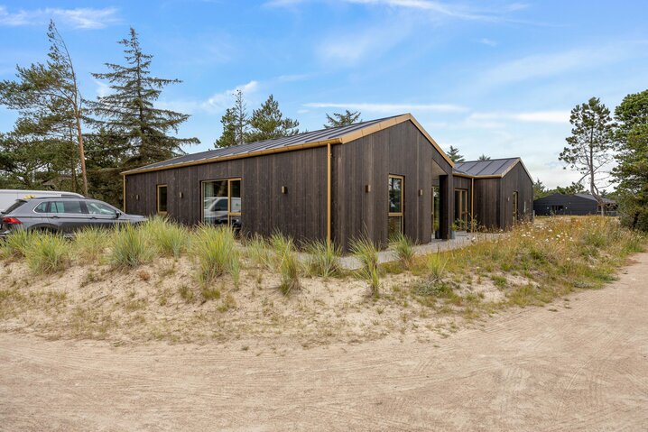 Ferienhaus 60275 in Horns Bjerge 52, Blåvand - Bild #48