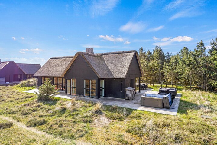 Ferienhaus 60282 in Kallesmærskvej 32, Blåvand - Bild #0