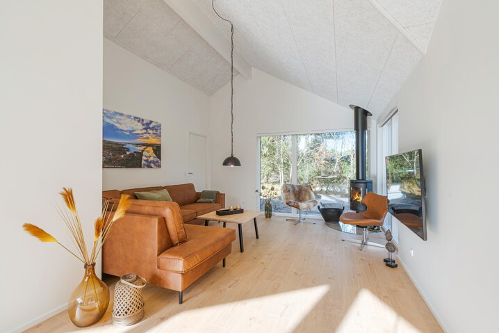 Ferienhaus 60283 in Kollemarken 30, Blåvand - Bild #1