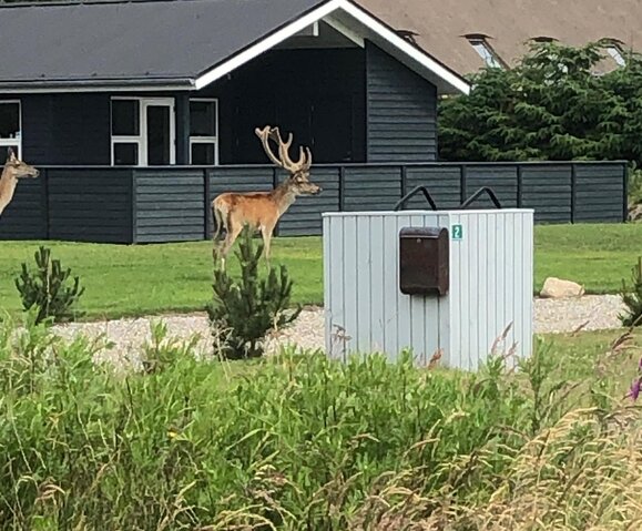 Sommerhus 60288 på Poul Thøstesensvej 6, Blåvand - Billede #45