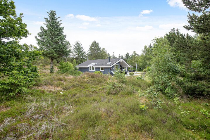 Ferienhaus 60299 in Poul Helgesensvej 3, Blåvand - Bild #35