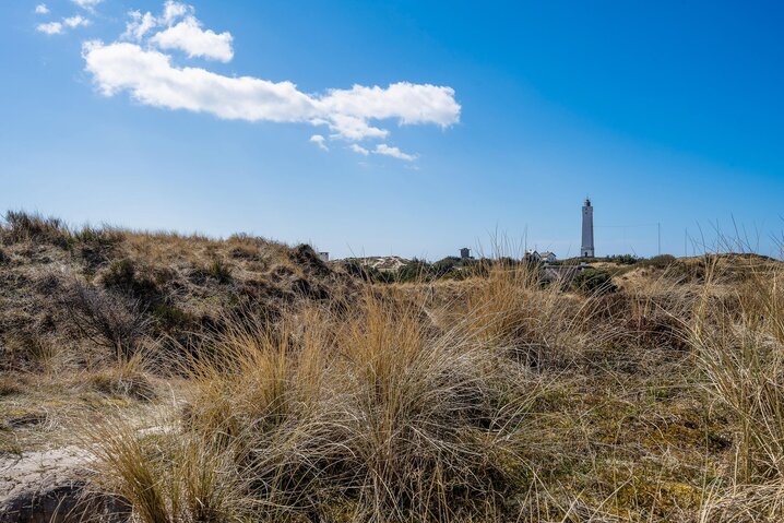 Ferienhaus 60317 in Horns Rev 95, Blåvand - Bild #57