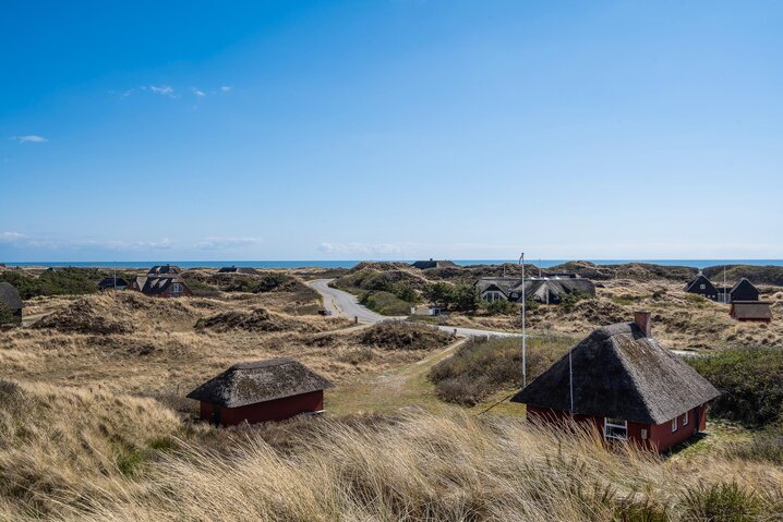 Ferienhaus 60317 in Horns Rev 95, Blåvand - Bild #56