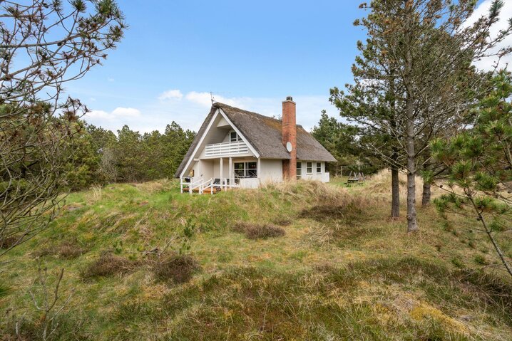 Ferienhaus 60326 in Ved Skoven 5, Blåvand - Bild #34