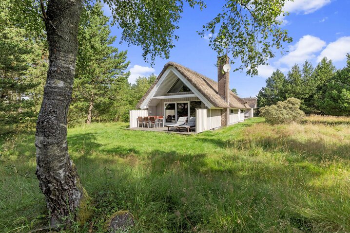 Ferienhaus 60342 in Sandtoftevej 31, Blåvand - Bild #0