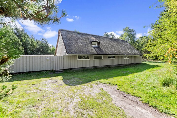 Ferienhaus 60342 in Sandtoftevej 31, Blåvand - Bild #33