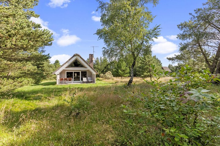 Ferienhaus 60342 in Sandtoftevej 31, Blåvand - Bild #22