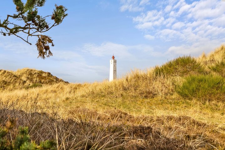 Ferienhaus 60382 in Nordslugen 30, Blåvand - Bild #53