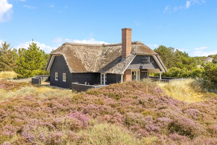 Sommerhus 60386 på Sydslugen 3, Blåvand - Billede #0