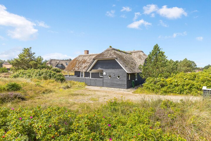 Sommerhus 60386 på Sydslugen 3, Blåvand - Billede #32