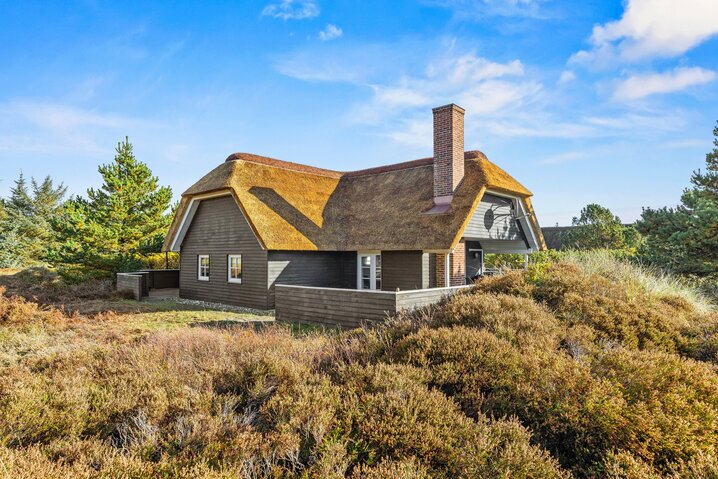 Sommerhus 60386 på Sydslugen 3, Blåvand - Billede #0