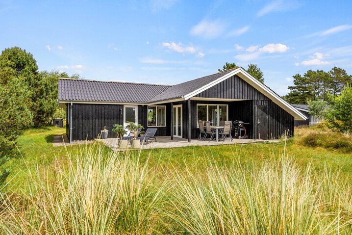 Ferienhaus 60433 in Hedetoftvej 55, Blåvand - Bild #0