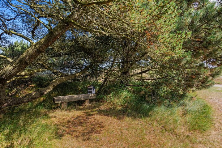 Sommerhus 60433 på Hedetoftvej 55, Blåvand - Billede #26
